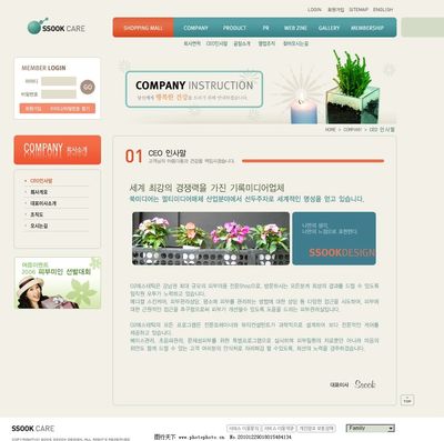 女性護(hù)理設(shè)計(jì)網(wǎng)頁(yè)與網(wǎng)站模板 關(guān)鍵要素與視覺策略